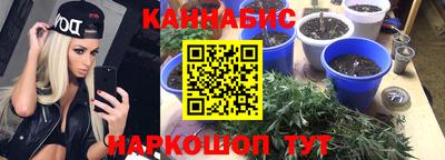 соль ск Лесосибирск