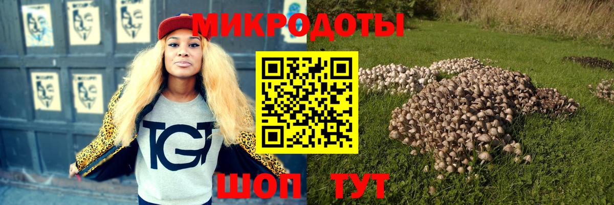 Псилоцибиновые грибы MAGIC MUSHROOMS  Псилоцибиновые грибы Cubensis  Елец  Вход с VPN 